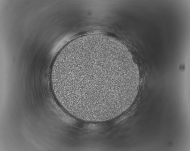 X0000113950341200911061308
