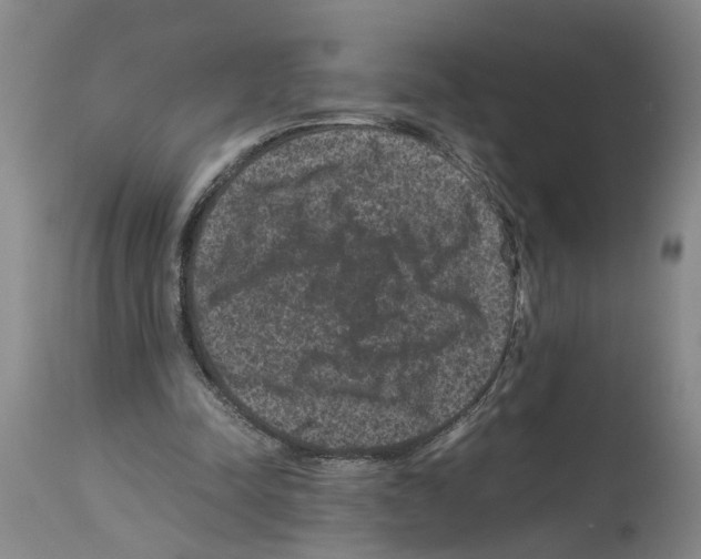 X0000113950342200911061308