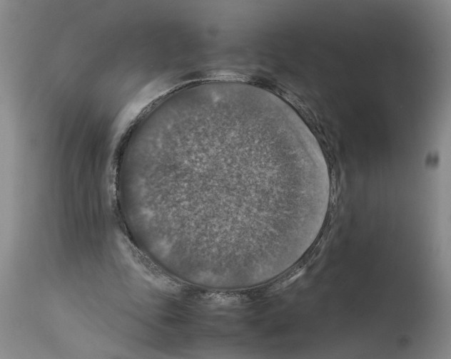 X0000113950343200911061308