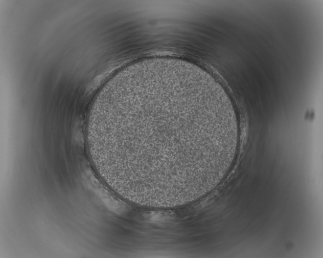 X0000113950345200911061308