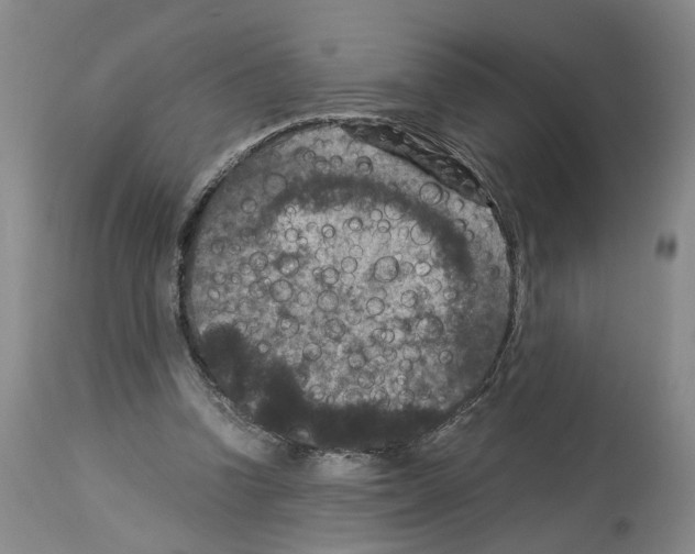 X0000113950346200911061308