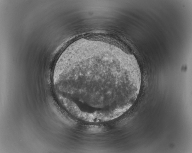 X0000113950347200911061308