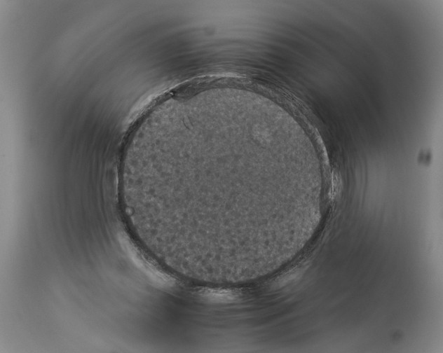 X0000113950349200911061308