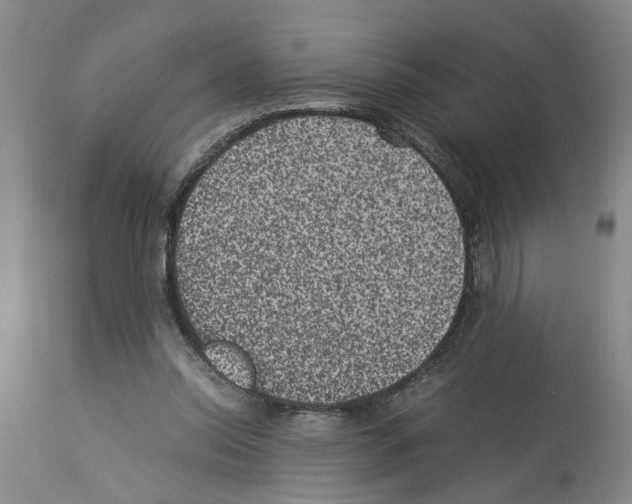 X0000113950350200911061308