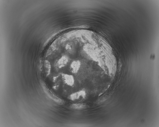 X0000113950351200911061308