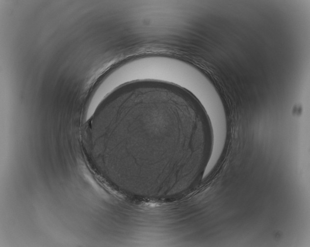 X0000113950352200911061309