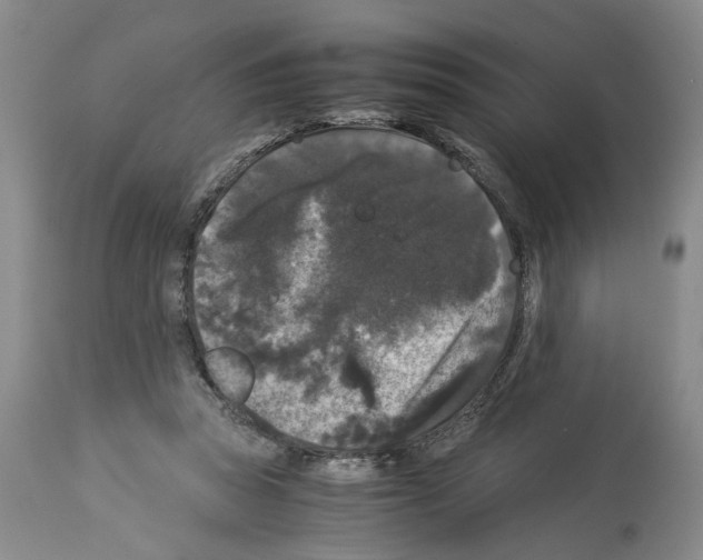 X0000113950353200911061309