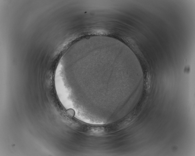 X0000113950355200911061309