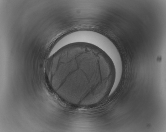 X0000113950356200911061309