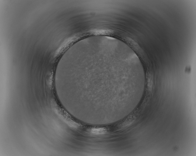 X0000113950357200911061309