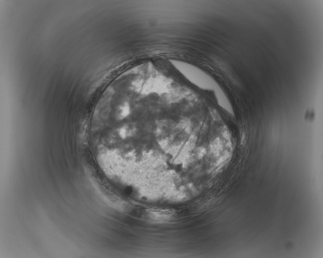 X0000113950359200911061309