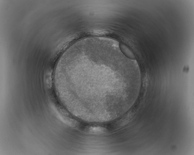 X0000113950360200911061309