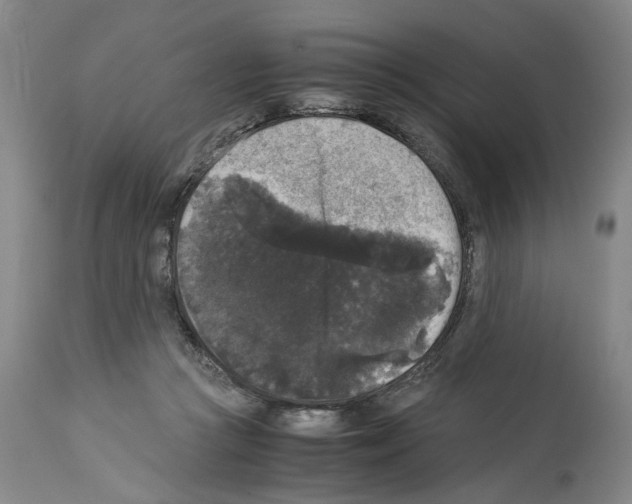 X0000113950361200911061309