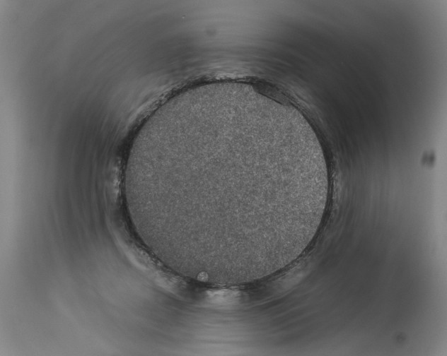 X0000113950362200911061309