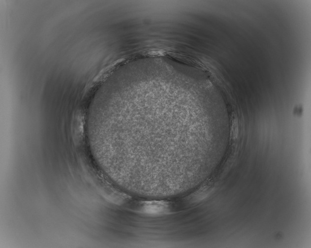X0000113950363200911061309