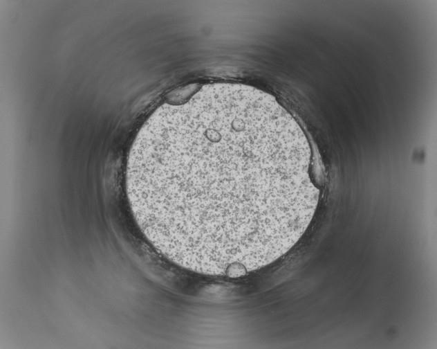 X0000113950364200911061309