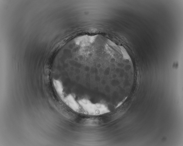 X0000113950366200911061309