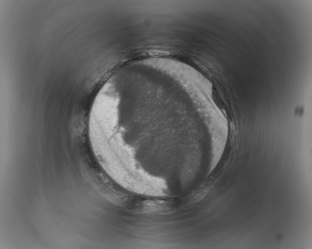 X0000113950367200911061309