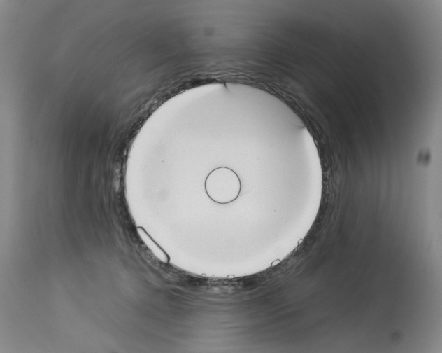 X0000113950368200911061309