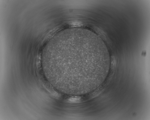 X0000113950369200911061309