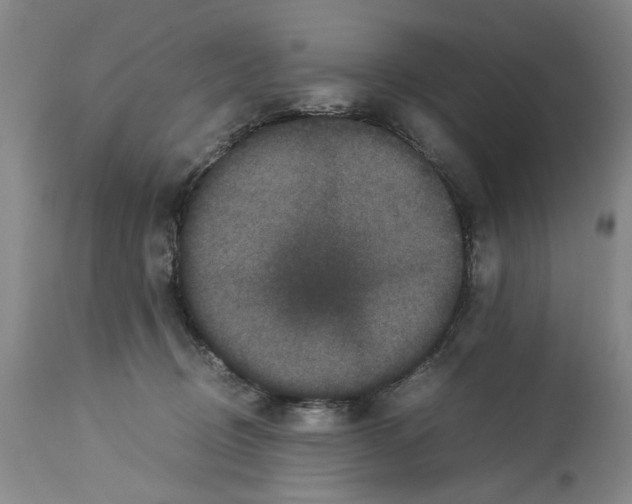 X0000113950370200911061309