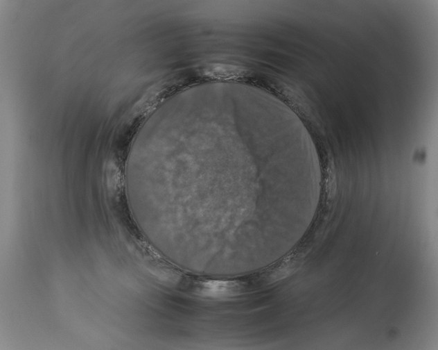 X0000113950371200911061309