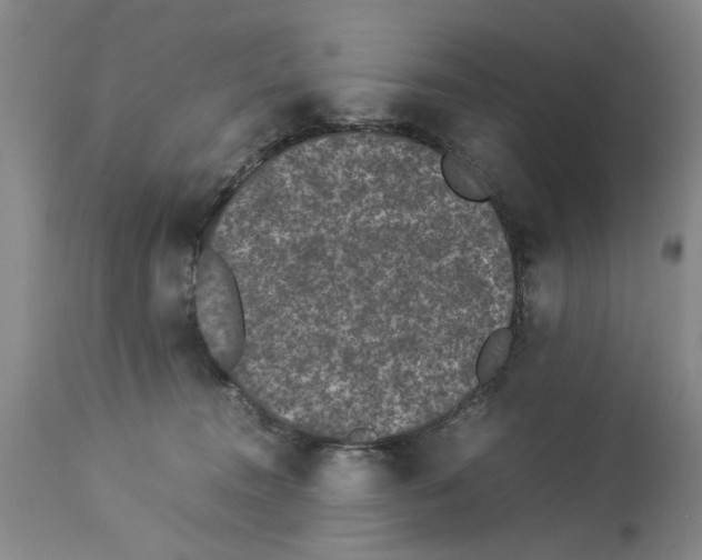 X0000113950372200911061309