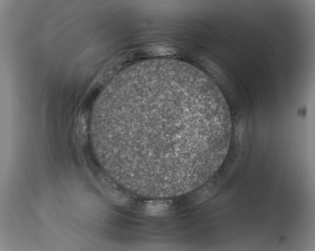 X0000113950373200911061309