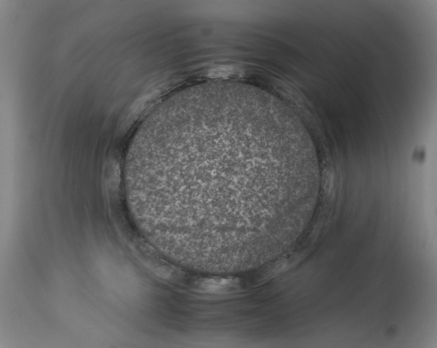 X0000113950375200911061309