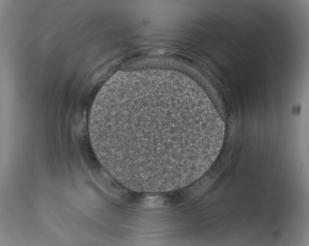 X0000113950376200911061309