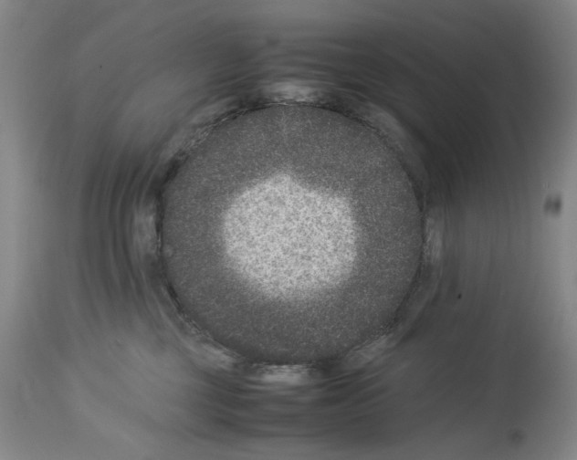 X0000113950377200911061309