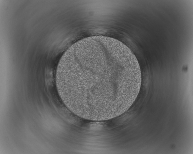 X0000113950378200911061309