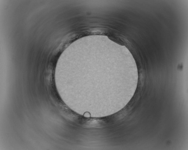 X0000113950379200911061309