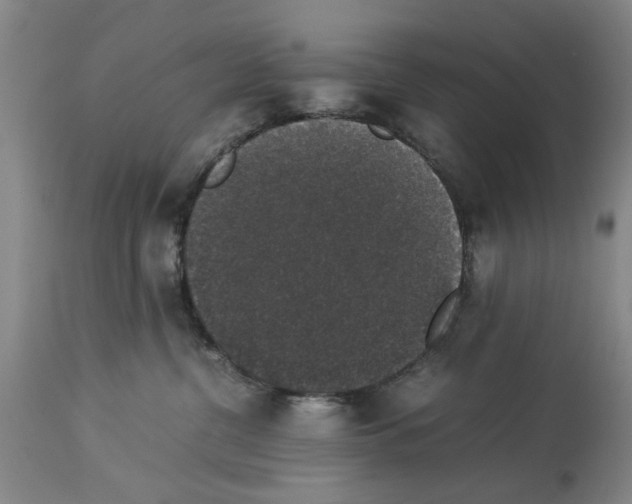 X0000113950380200911061309