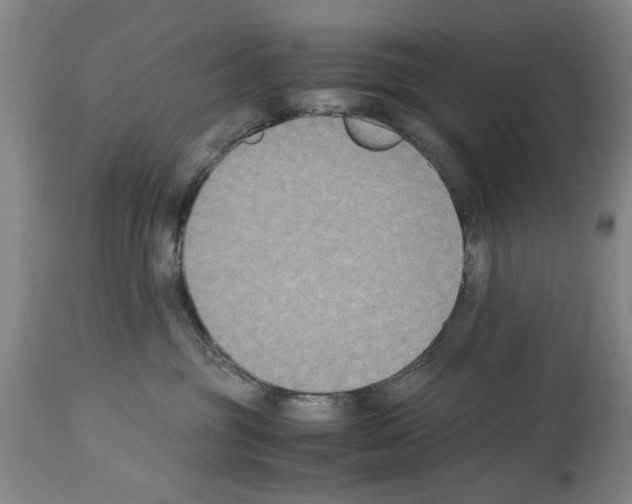 X0000113950381200911061309