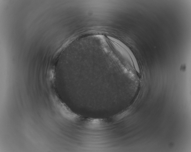 X0000113950382200911061309