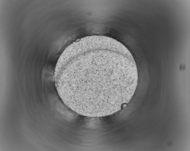 X0000113950384200911061309