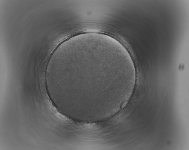 X0000113950385200911061308