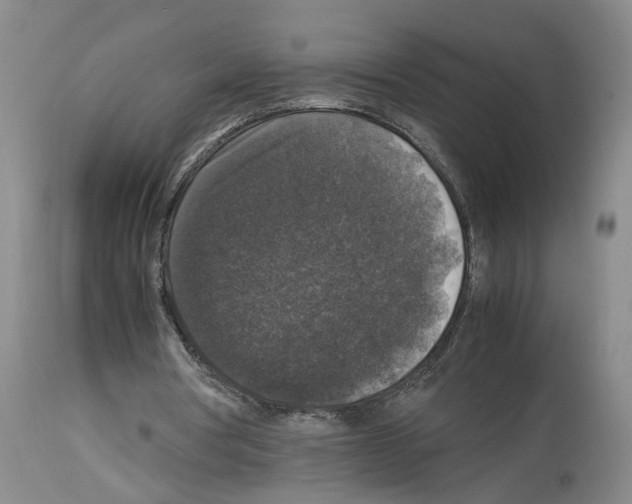 X0000113950386200911061308