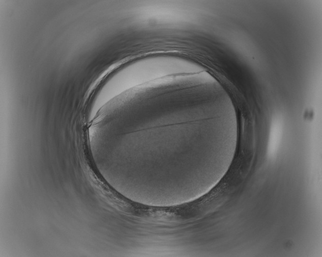 X0000113950387200911061308