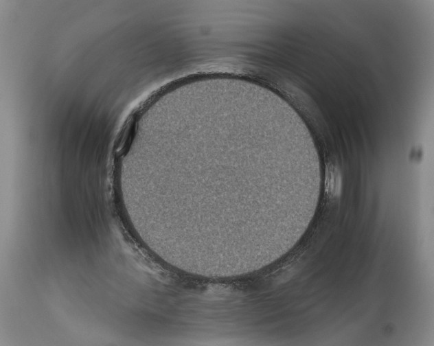 X0000113950388200911061308