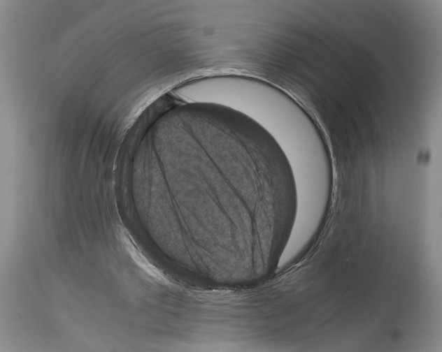 X0000113950389200911061308