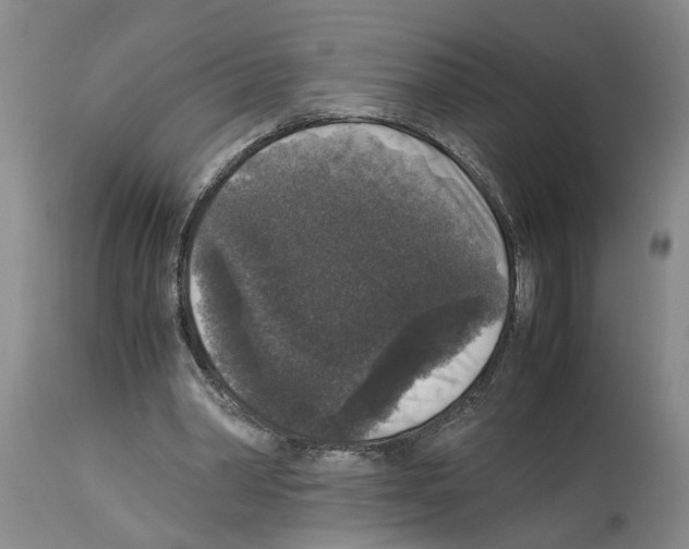 X0000113950390200911061308