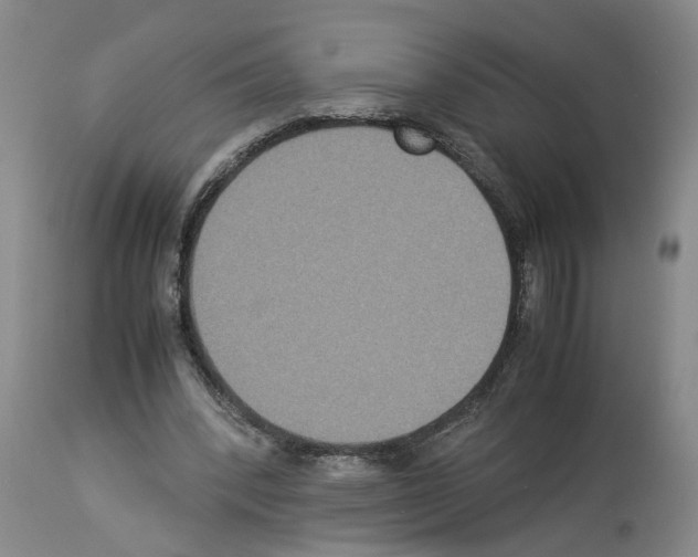 X0000113950392200911061308