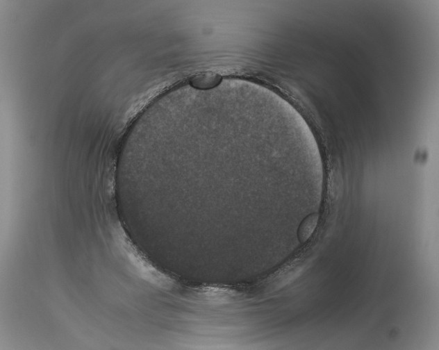 X0000113950393200911061308