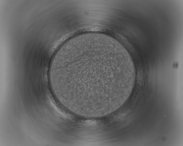 X0000113950394200911061308
