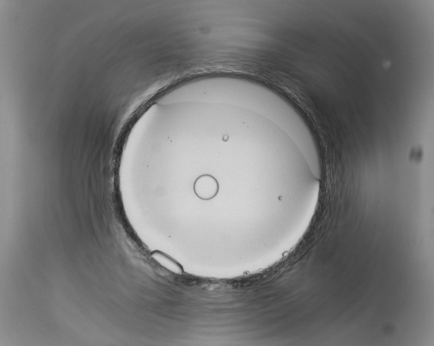 X0000113950395200911061308