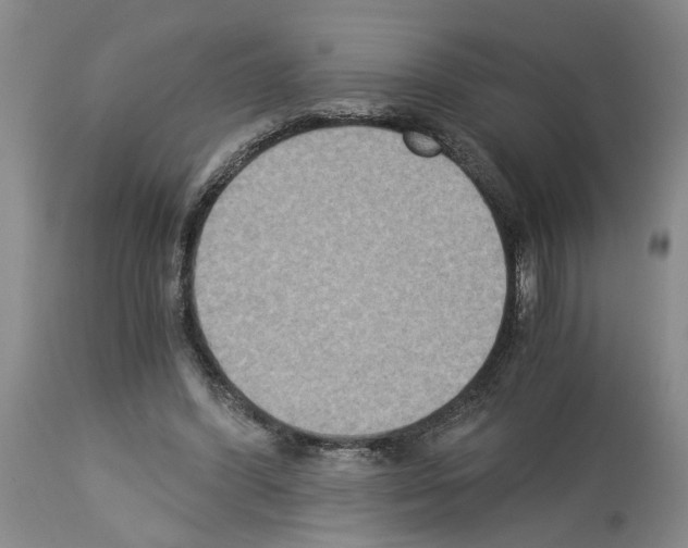 X0000113950396200911061308