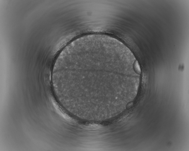 X0000113950397200911061308