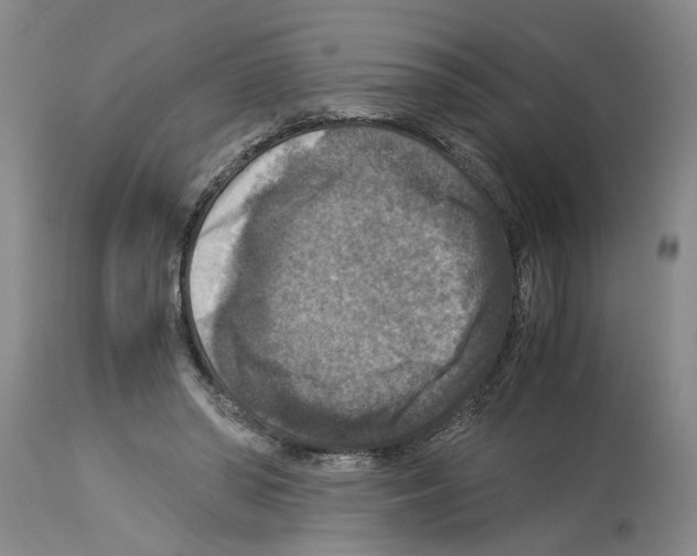 X0000113950398200911061308